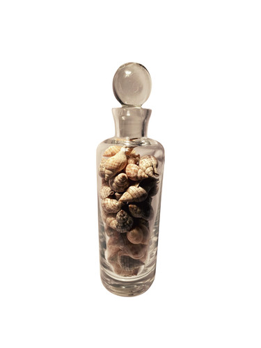 Decanter vetro conchiglie - e,
